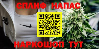 индика Малгобек