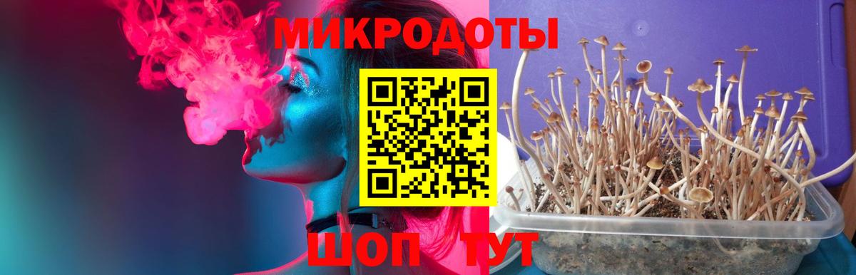Галлюциногенные грибы Psilocybe  Вход с VPN  Уварово 